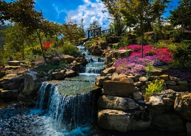 Creative Ways to Make a Family Trip to Gatlinburg More Memorable